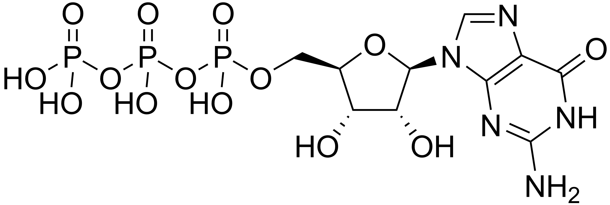 GTP molecule